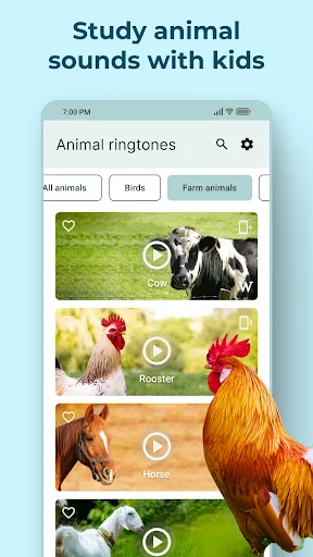 Animal ringtones app farm animals tab displaying cow, rooster, horse sounds with high-quality images and play controls
