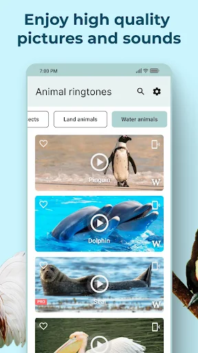 Animal Sounds app water animals category featuring penguin, dolphin sounds with HD pictures and favorite icons