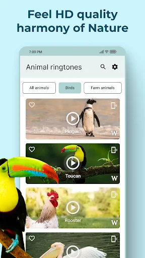 Animal ringtones personalization app with birds and farm animals including penguin, toucan, rooster sound options