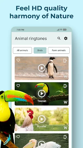 Animal Sounds app nature category displaying birds and farm animals with HD toucan, penguin, rooster images