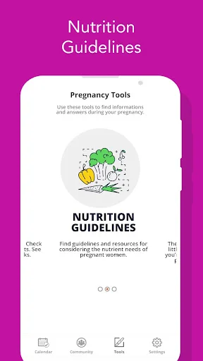 Nutrition guidelines tool providing dietary resources and meal planning for pregnant women