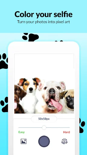 Transform dog photos into pixel art: Photo-to-pixel art converter tool featuring dog selfies with Easy and Hard mode difficulty selections