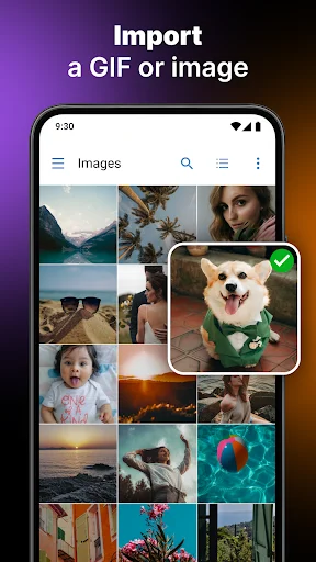 Import GIF or image screen showing photo gallery grid with corgi selected for live wallpaper creation