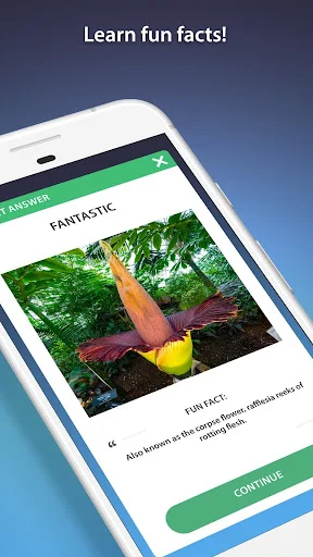 Answer feedback screen showing Fantastic result with educational plant fact image and green Continue button for next question