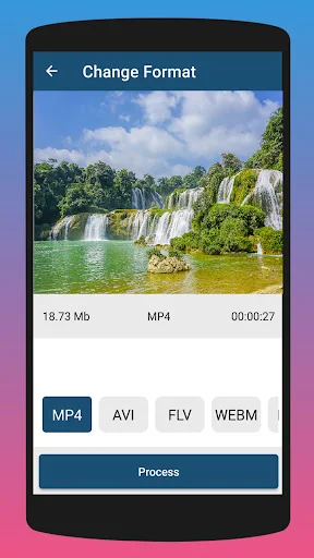 Change Format screen in Video Editor app displaying waterfall video with MP4, AVI, FLV, WEBM format options